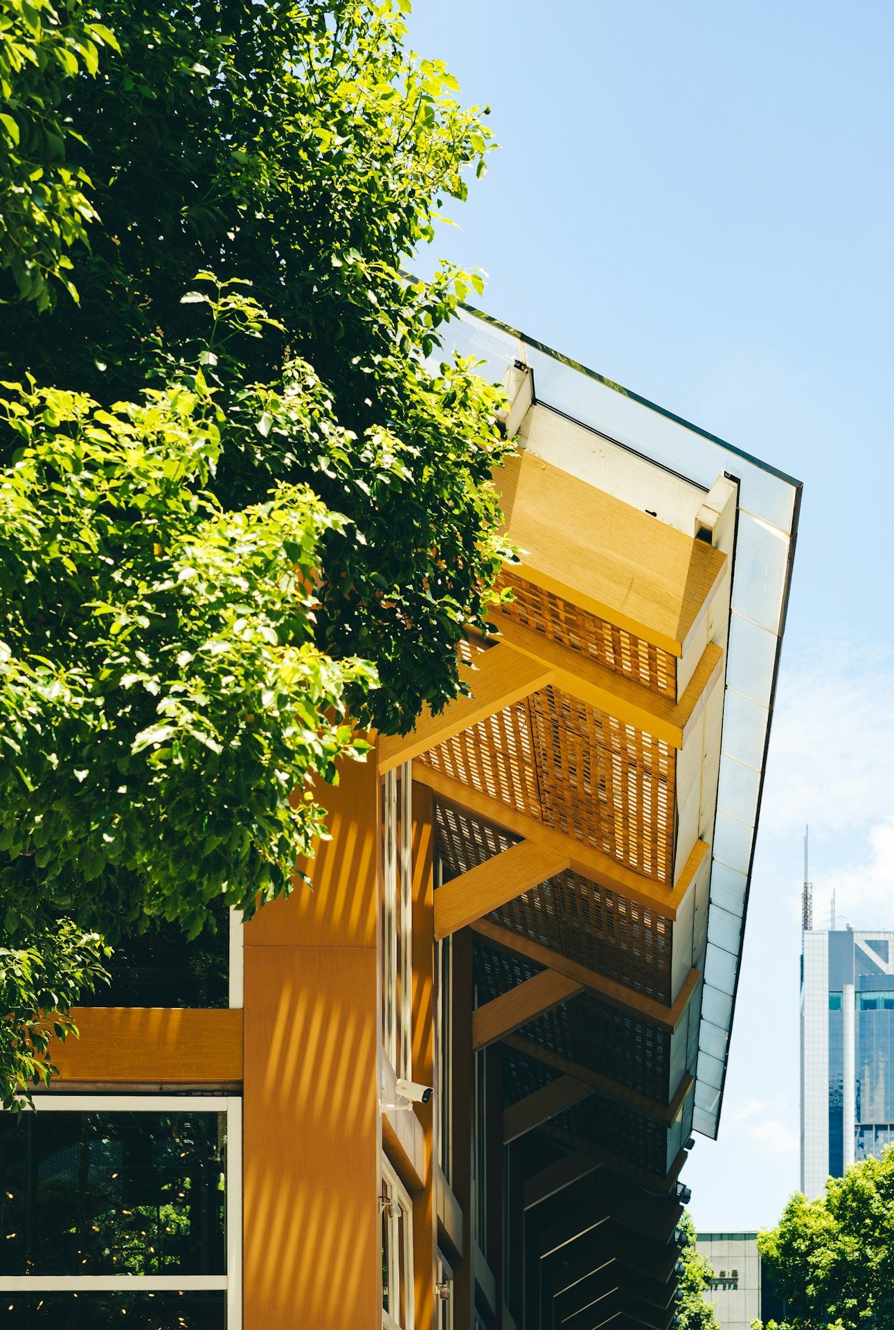 Contemporary building with sloped glass roof and green foliage